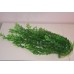 Aquarium Plant Approx 50 / 52 cms High Green Weighted and Fern Base
