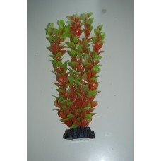 Aquarium Plant Ludwigia Plant Red & Green 13 cms 
