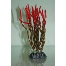 Aquarium Plant Tropical Corkscrew Grass Plant Red & Green 13 cms High