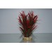 Aquarium Tropical Red & Green Grass Plant 6 x 6 x 20 cms