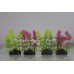 Aquarium 4 Mixed Fern Type Plastic Plants with Weighted Base 6 x 3 x 12 cms