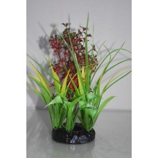 Fantastic Value Bushy Ring Plant Red Green Approx 21 cms Tall