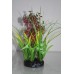 Fantastic Value Bushy Ring Plant Red Green Approx 21 cms Tall