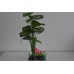 Aquarium Tall Green Silk Plant with Added Flowers On Weighted Base 10 x 6 x 28 cms