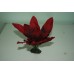 Aquarium Amazon Red Leaf Silk Plant 40 cms
