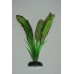 Aquarium Silk Plant Echinodorus Broad Leaf Plant Green & Light Red 30 cms High
