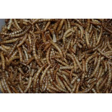 FMF Premium + Dried Mealworms 10 ltr Tub Approx 1600g