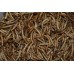 FMF Premium + Dried Mealworms Tub Approx 200g