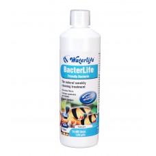 Waterlife Bacterlife Digests Ammonia & Nitrite and Starts Filters 1 Litre Bottle