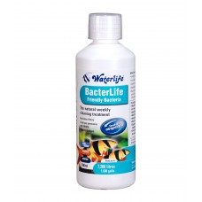 Waterlife Bacterlife Digests Ammonia & Nitrite and Starts Filters 500 ml Bottle