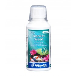 Algizin P Pond Kills Blanket Weed